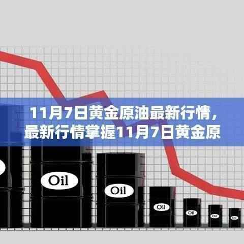 11月7日黄金原油行情分析,最新走势与操作指南