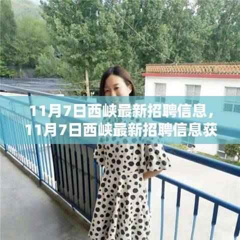 11月7日西峡最新招聘信息大全,获取攻略与求职要领