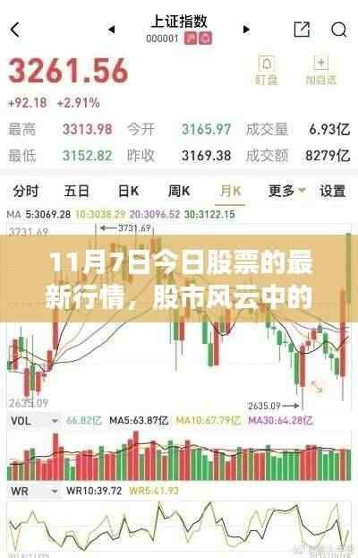 11月7日股市行情概览,股票市场的温情日常与情缘揭秘