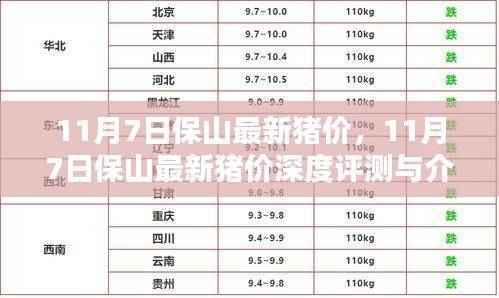11月7日保山最新猪价深度评测与介绍