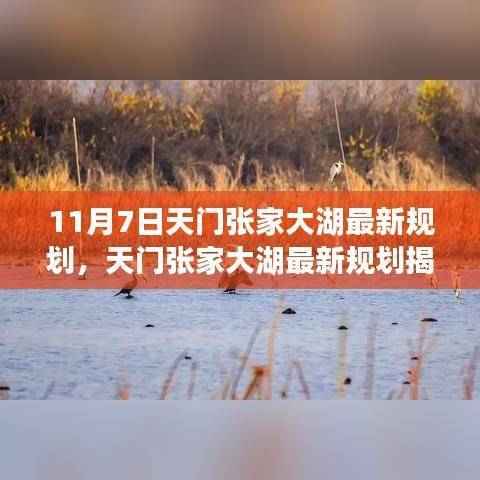 天门张家大湖未来蓝图揭秘,最新规划与可持续发展展望