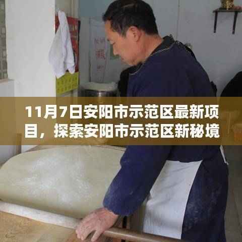 安阳市示范区新项目探索,小巷独特小店揭秘