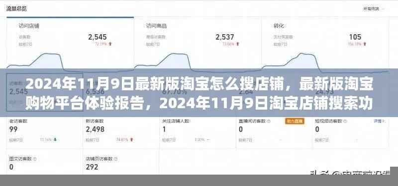 淘宝最新版购物平台体验报告,店铺搜索功能详解与操作指南(2024年11月)