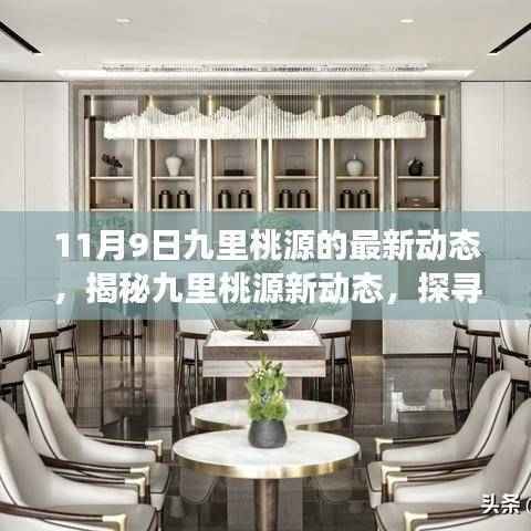 11月9日九里桃源最新动态揭秘,探寻最新进展