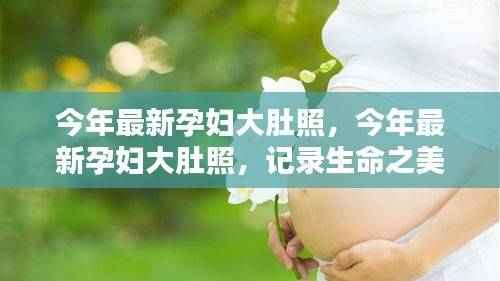 最新孕妇大肚照，记录生命之美，展现孕育之路的独特魅力