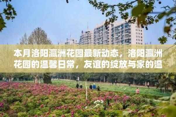 商品分类 第604页