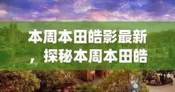 探秘本田皓影之下的隐藏瑰宝,本周皓影特色小店之旅揭秘