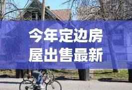 肝胆相照 第45页