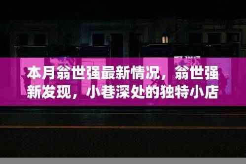 翁世强新发现,小巷深处独特小店本月探秘之旅