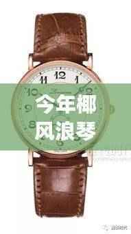 椰风浪琴最新房价评测,特性、体验、对比与深度分析报告