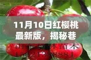 揭秘巷弄秘境,红樱桃最新版美味天堂(11月10日版)