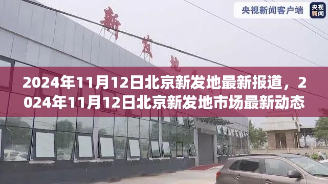 北京新发地市场最新动态报道(2024年11月12日更新)