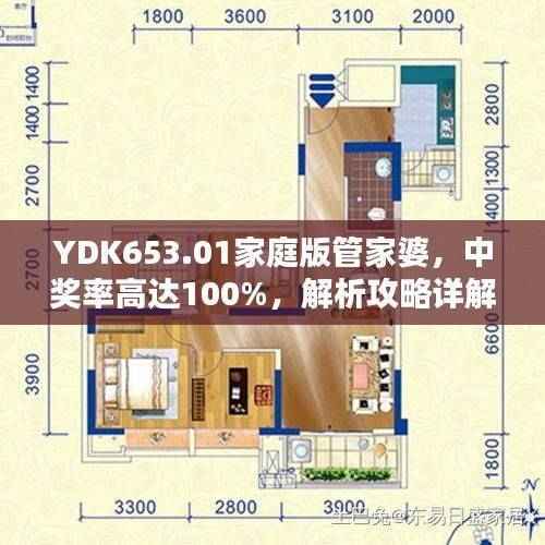 YDK653.01家庭版管家婆,中奖率高达100%,解析攻略详解