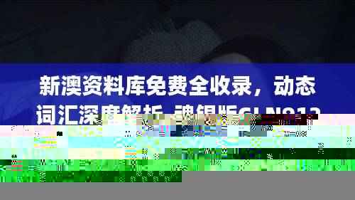 新澳资料库免费全收录,动态词汇深度解析_魂银版GLN912.84
