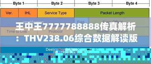 王中王7777788888传真解析:THV238.06综合数据解读版