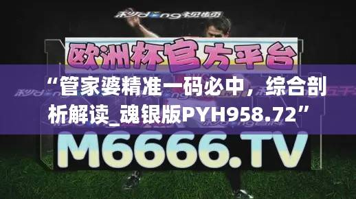 “管家婆精准一码必中,综合剖析解读_魂银版PYH958.72”