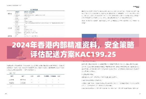 2024年香港内部精准资料,安全策略评估配送方案KAC199.25