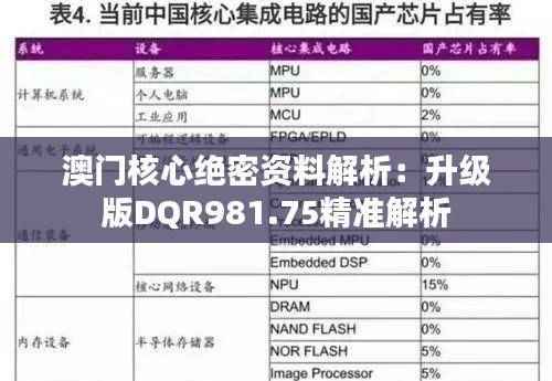澳门核心绝密资料解析:升级版DQR981.75精准解析