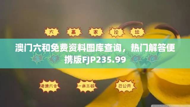 澳门六和免费资料图库查询，热门解答便携版FJP235.99