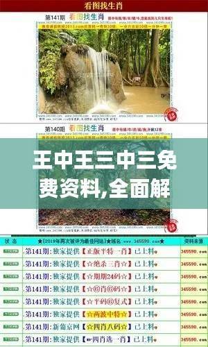 王中王三中三免费资料,全面解答解析_半圣OBN118.54