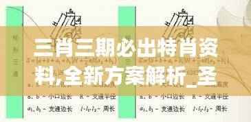 三肖三期必出特肖资料,全新方案解析_圣天大道OMI219.8