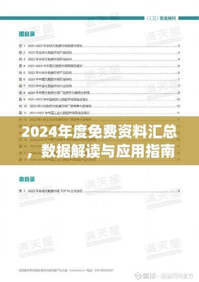 2024年度免费资料汇总，数据解读与应用指南：DNI247.4未来版