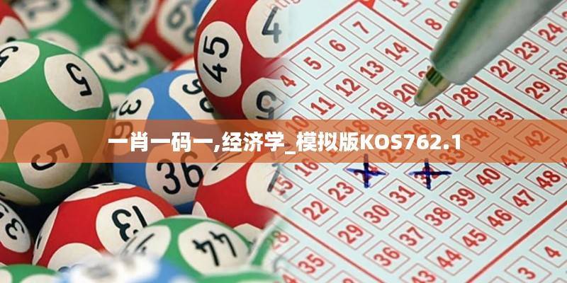 一肖一码一,经济学_模拟版KOS762.1