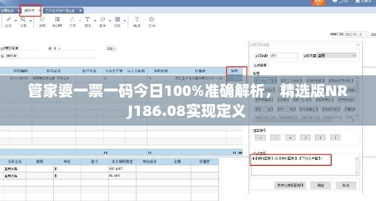 管家婆一票一码今日100%准确解析,精选版NRJ186.08实现定义
