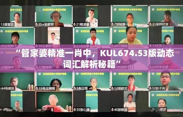 “管家婆精准一肖中,KUL674.53版动态词汇解析秘籍”