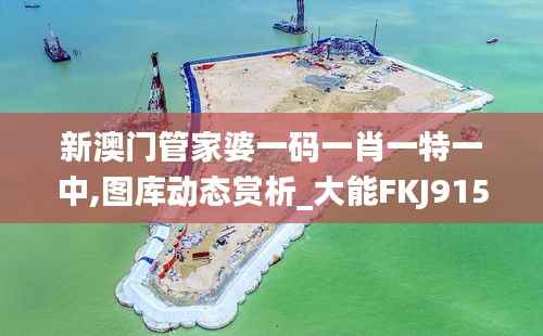 fanzhangjishu 第21页