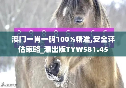 澳门一肖一码100%精准,安全评估策略_漏出版TYW581.45