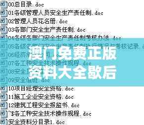 澳门免费正版资料大全歇后语汇编,TPV602.3安全策略解读