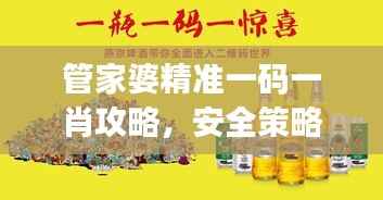 管家婆精准一码一肖攻略,安全策略评估动态方案UWJ487.85