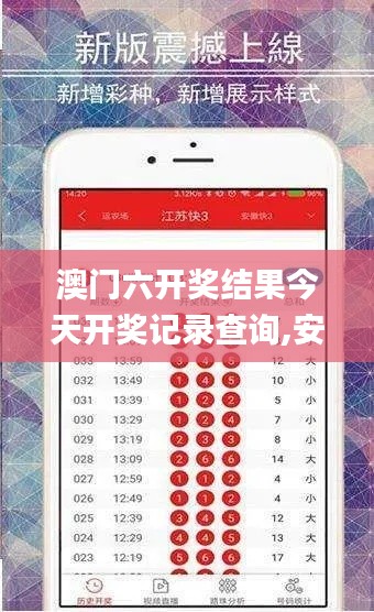澳门六开奖结果今天开奖记录查询,安全评估策略_特别版LEB791.26