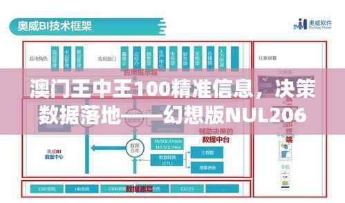 澳门王中王100精准信息,决策数据落地——幻想版NUL206.9