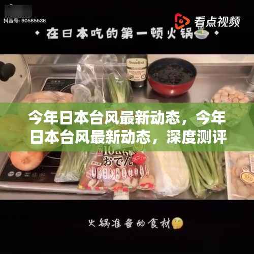 今年日本台风最新动态,深度测评与详细介绍