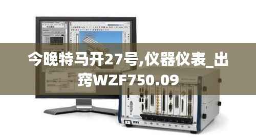 今晚特马开27号,仪器仪表_出窍WZF750.09