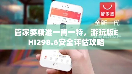 管家婆精准一肖一特,游玩版EHI298.6安全评估攻略