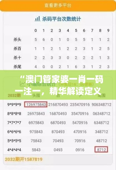 “澳门管家婆一肖一码一注一,精华解读定义_权威版VWB229.76”