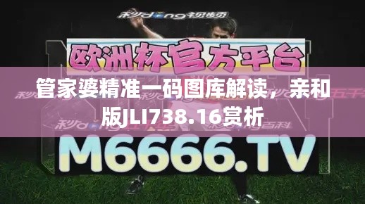 管家婆精准一码图库解读,亲和版JLI738.16赏析
