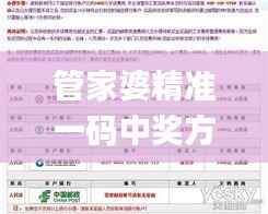 管家婆精准一码中奖方案_MFK783.89,安全保障版