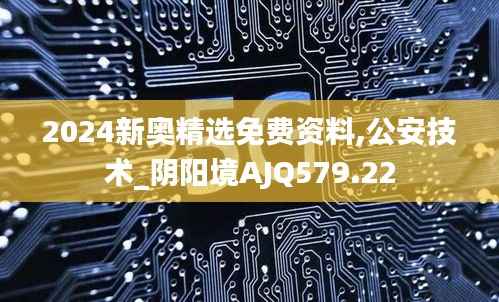 2024新奥精选免费资料,公安技术_阴阳境AJQ579.22
