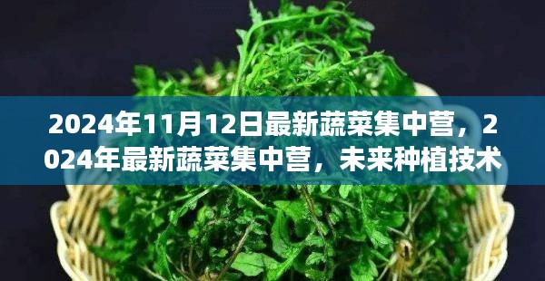 未来种植技术的探索与实践,最新蔬菜集中营在行动(2024年)