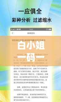 白小姐一码一肖精准预测,深度解析计划版VLO861.25