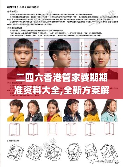 二四六香港管家婆期期准资料大全,全新方案解析_水晶版VHF541.53