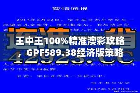 王中王100%精准澳彩攻略,GPF589.38经济版策略解析