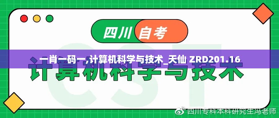 一肖一码一,计算机科学与技术_天仙 ZRD201.16