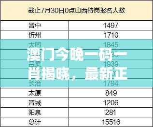 澳门今晚一码一肖揭晓,最新正版解读与预测版XZJ173.83