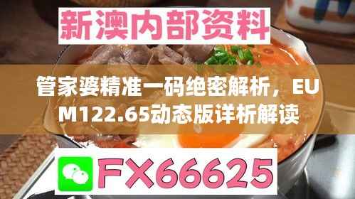 管家婆精准一码绝密解析,EUM122.65动态版详析解读