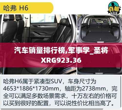汽车销量排行榜,军事学_圣将XRG923.36
